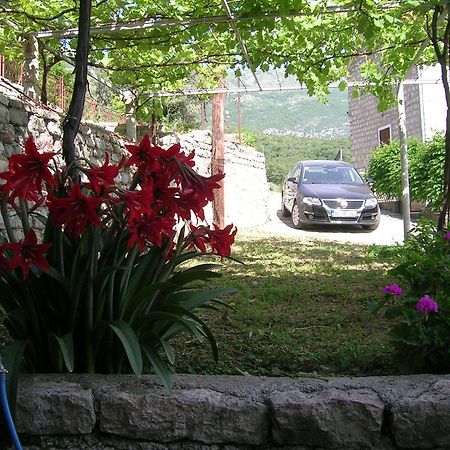 Apartments Midzor Petrovac Exterior foto
